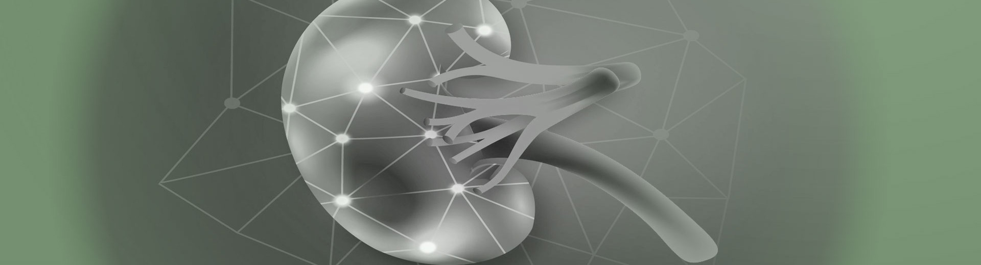 Dr Nonkala sitemap - list of all web pages