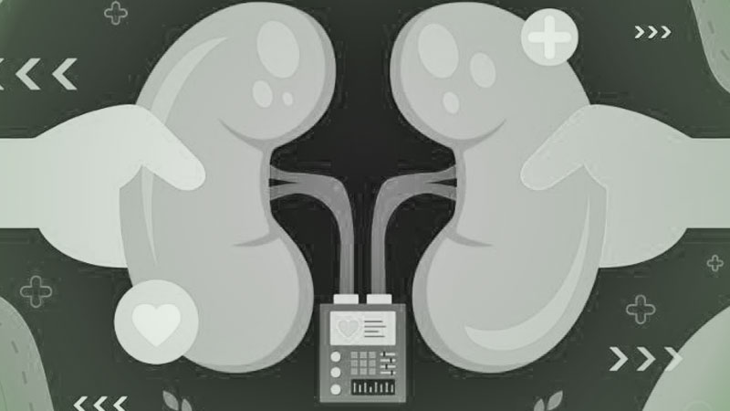 Kidney Dialysis Pietermaritzburg