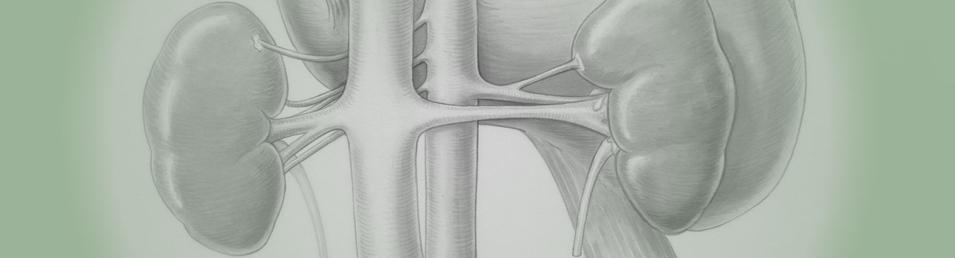 Nephrologist Pietermaritzburg Specialist Physician: Dr R O Nonkala / Dr O R Nonkala Nephrologist PMB Specialist Physician: Dr R O Nonkala / Dr O R Nonkala